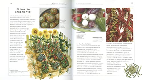 El jardin mediterraneo/ Mediterranean Garden