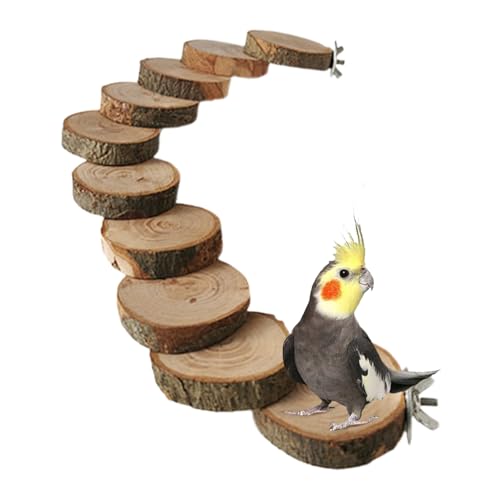 Yaztauho Papageienleiter - Käfig Zubehör - Vogelleiter Sitzstange,Für Wellensittiche Nymphensittiche Finken Zur Beschäftigung Bei Alleinsein Zu Hause Zur Verhinderung Von Langeweile Und Für Geistige