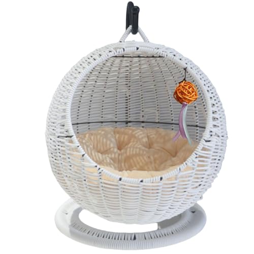 Bxzzuis ҂ٔLxbh VRfސ ^ O\NbVt ݂艺LnEXnbN ی^fUC ʋCǍD 􂦂ybgpxbh LpQ ^`^LΉ  Q xe LƋ EOp (sAzCgP