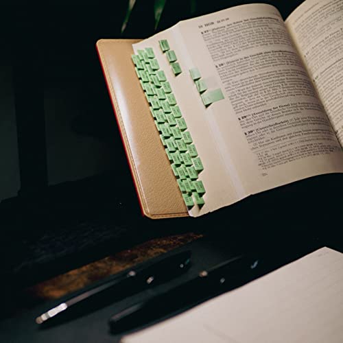 Griffregister für HABERSACK | 2025 | selbstklebende Register Etiketten mit Gesetzes- und §§-Bezeichnungen