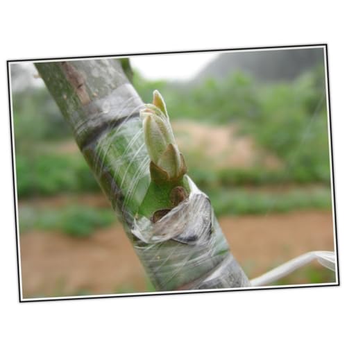 KONTONTY Nastro Innesto Autoadesivo Estensibile Per Piante e Alberi Da Frutto Pellicola Pe Flessibile Verde Adatto Per Innesti Di Agrumi Noci Avocado e Frutti Resistente Nodo