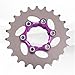 Aosekaa Single Speed Cassette Cog, Bike Freewheel, Bicycle Cassette Cog, Bike Single Speed Conversion Set for Mountain Road Bikes, 23T