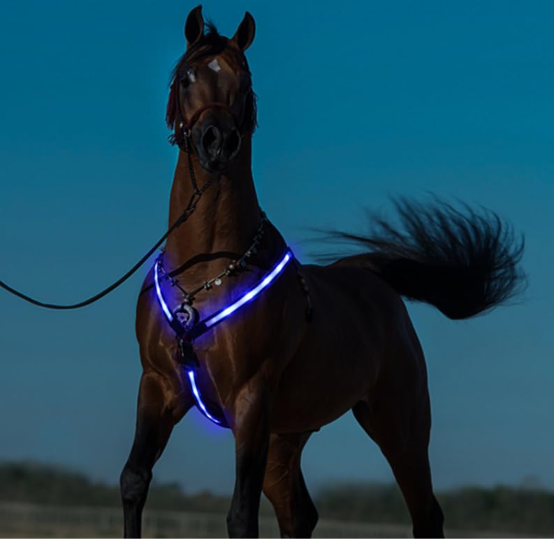 Sangle de poitrine cheval LED réglable pour rester visible des voitures - 3