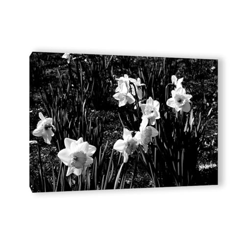 Tableau noir et blanc salon et impression sur toile fleur blanche 40x55