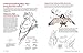 A Guide to Drawing Manga Fantasy Furries: and Other Anthropomorphic Creatures (Over 700 illustrations)