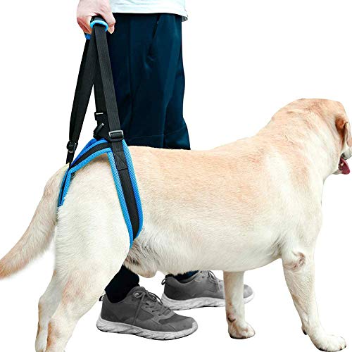 MILECN Arnés de Elevación para Perros - Arnés de Soporte de Elevación para Perros para Patas Traseras Débiles,para Perros Pequeños y Grandes Caminando Alivio del Dolor,L Cover