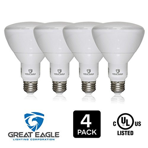 Great Eagle BR30 LED Bulb, 15W (100W Equivalent), 1250 Lumens, Direct Upgrade for 65W Bulb, 2700K Warm White Color, 120 Degree Beam Angle, Wide Flood Light, Dimmable, and UL Listed (Pack of 4)