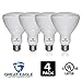 Great Eagle BR30 LED Bulb, 15W (100W equivalent), 1250 Lumens, Direct Upgrade for 65W Bulb, 2700K Warm White Color, 120 degree Beam Angle, Wide Flood Light, Dimmable, and UL Listed (Pack of 4)