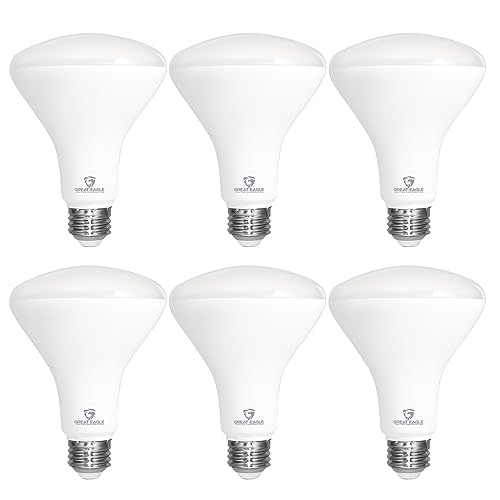 Find The Best Led Can Light Bulb Reviews & Comparison Katynel