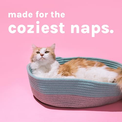 Kitty City Cat Bed, Cotton, 14"W x 19"L x 5"H - Image 3