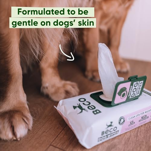 Beco Dog Wipes - 1 Pack of 80, Coconut Scented, For Paws, Body and Bum, Plant-Based Grooming Wipes - Image 4