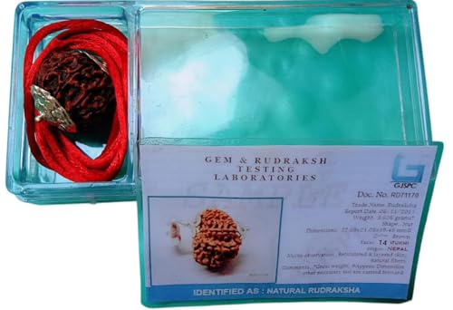14 Mukhi Rudraksha Pendant, Lab Certified Brown Bead, Silver Setting, Nepali Spiritual Meditation Jewelry2