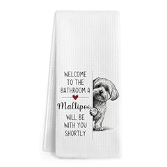 Maltipoo