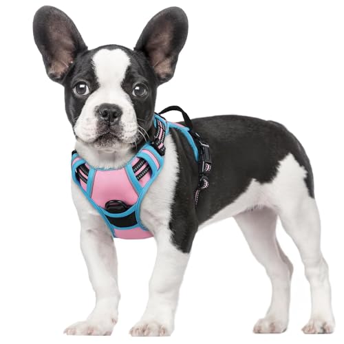 Image of rabbitgoo Dog Harness No Pull with 2 Leash Clips, Adjustable Soft Padded, Reflective Oxford No Choke Pet Vest with Easy Control Handle for Small Dogs, Pink & Blue, S