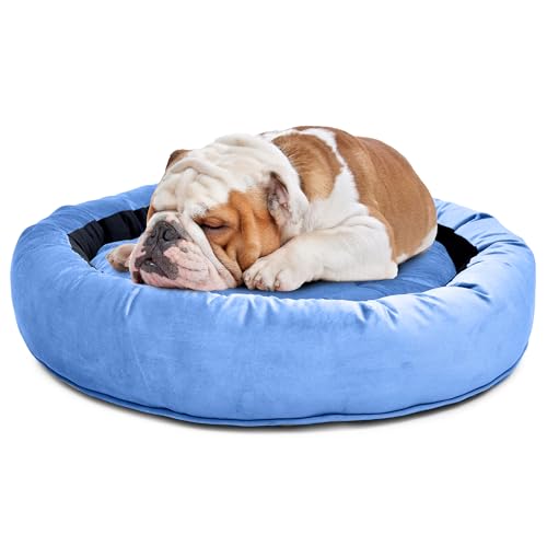 Image of Velvet Dog Bed in Round Shape | Small 60 Cm | Premium Velvet Pet Bed for Cats and Puppies | Soft & Cozy Sleeping Bed for Dog with Removable Insert | Black & Sky Blue