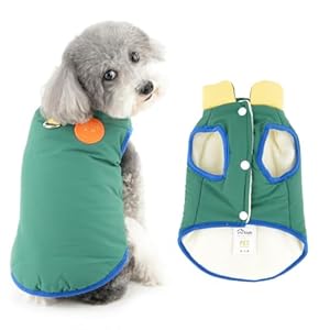 Ranphy Colorblock Fleece Lined Jacket for Small Dog Padded Puppy Winter Coat Sleeveless Windproof Yorkie Chihuahua Warm Clothes with Leash Ring Cat Clothing,Green,M