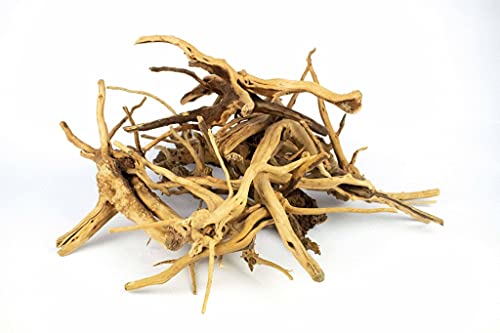 Spiderwood | 10-30 cm 20-30 cm - Afbeelding 4