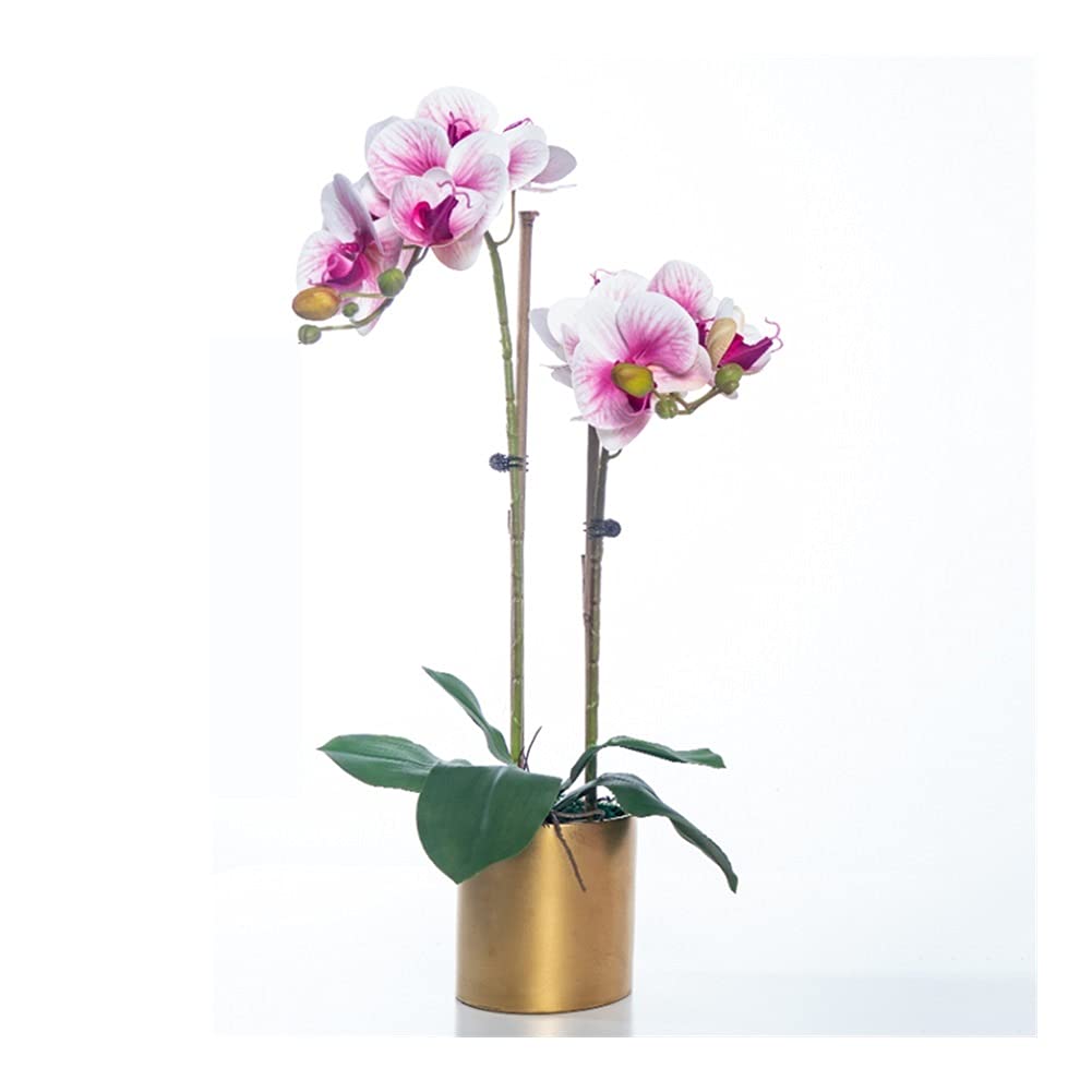 Sbziojhdr C Artificial Flowers, Decor Artificial Flowers With Vase Phalaenopsis Orchid Bonsai Pu Fake With For Home Table Faux Flowersa(C)