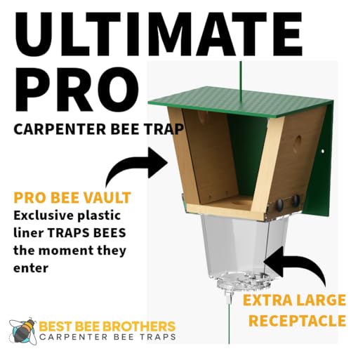 Best Bee Brothers Ultimate Pro Carpenter Bee Trap for Outside with Extra-Large, Clear External Bee Vault & Spring-Loaded Door, 4.2” D x 5.8” W x 7.5” H (4 Pack)