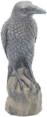 Nemesis Now Ravens Rest Figurine 20cm Black