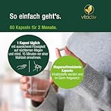 VITACTIV Darm Freunde - Probiotik Kulturen Komplex - 60 Probiotika Kapseln - 30 Bakterienstämme, 100 Mrd. KBE/g - Lactobacillus & Bifidobakterien, Akazienfaser als Präbiotika, 8 B-Vitamine - Vegan