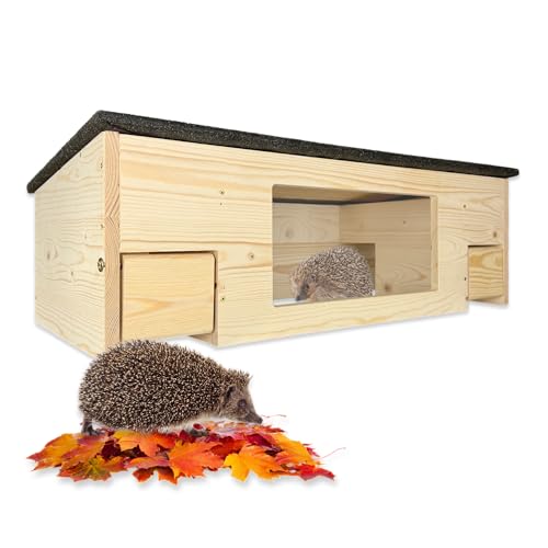 GARTENETAGE Igelfutterhaus XXL mit Panorama-Beobachtungsfenster, Rattenklappen & Fluchtweg – wetterfestes Igelhaus aus zertifiziertem Holz – nachhaltiger Schutz & Beobachtung im Garten