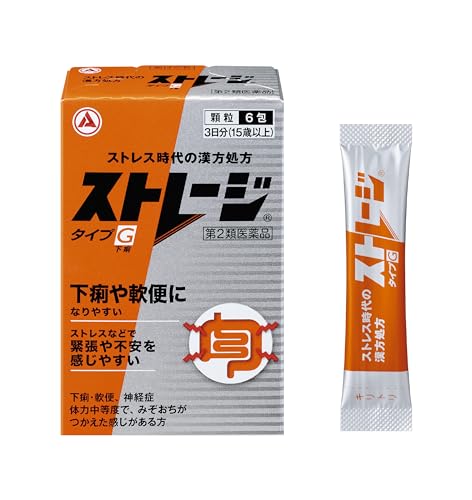 【第2類医薬品】ストレージ タイプG 6包