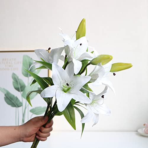 S  ԑ u[P  ͂Ȃ lHϗtA hCt[ t[AWg CeA  iX rO e[u u  Be ̓ Mtg v[g 