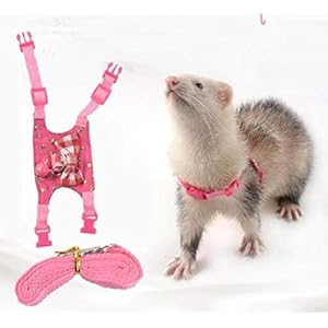Small Animal Outdoor Walking Vest Harness and Leash Set with Cute Bowknot and Clear Bell Decor Chest Strap Harness for Bunny Ferret Guinea Pig Hamster Kitten Clothes Accessory (S)