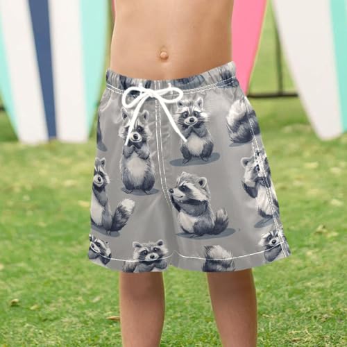 Pigsaly Boys' Swim Board Shorts Funny White Grey Raccoon Boy's Swim Trunks Kids Swimwear 3T 6