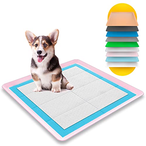 Puppy Pad Holder (Our Best Picks)