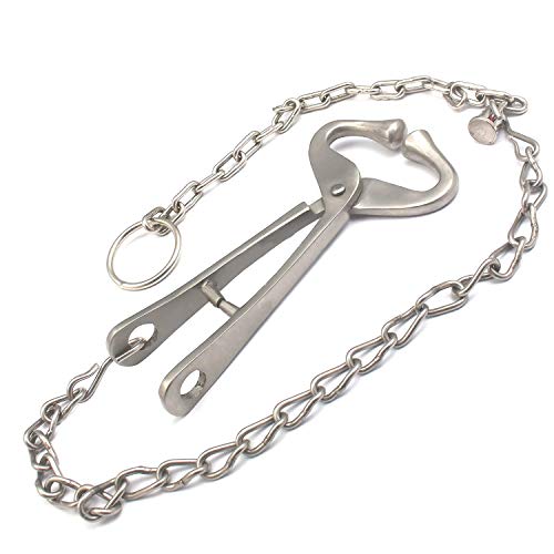 Laja Imports Cow Nose Ring Pliers, Stainless Steel Bull Cattle Bovine Clip With Chain 13
