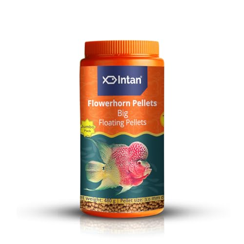Image of Intan Flower Horn Pellets (Big 3.0mm Floating) | 480gm - Highly Nutritious Ornamental Fish Food for Flowerhorn & Kamfa | Growel Feeds