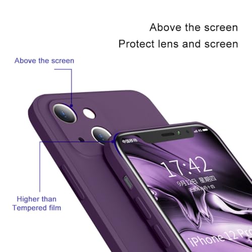 Iphone, Wireless Imagen adicional