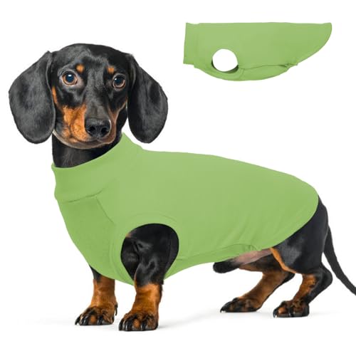 Image of Warm Fleece Dachshund Clothes for Medium Dogs, Green, XXL | Soft dachshund sweater for Long-Body Dogs, Lightweight Pullover Vest for Indoor Daily Wear,dachshund vest