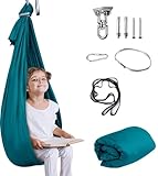 Therapy Swing for Kids with Special Needs (Hardware...
