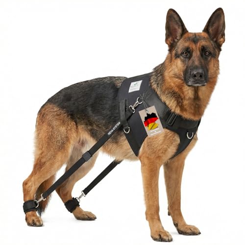 Nature Pet Hundeexpander & Rehageschirr für Hunde – Flexipander zur Rehabilitation, Mobilitätshilfe & sanften Unterstützung M