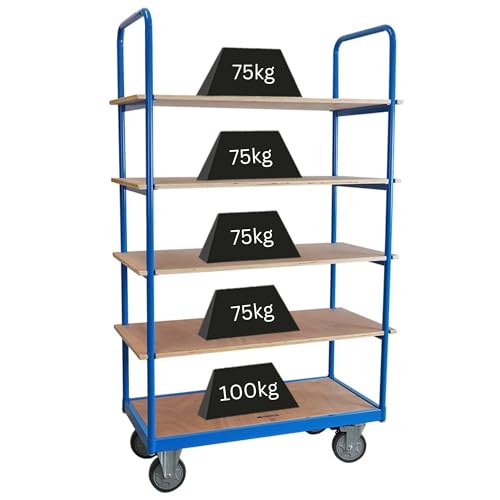 PROREGAL Profi Etagenwagen Kommissionierwagen Kommissionierregal Regalwagen mit 5 Etagen | HxBxT 186x111X50cm | Traglast 400 kg | 2X Lenkrollen mit Feststellbremse & 2X Bockrollen | Lichtblau