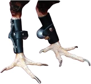 Guantes con Pesa para Gallos (Botas para Gallos)