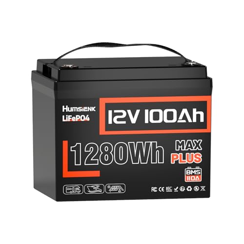 Humsienk LiFePO4 100Ah 12V Lithium Batterie mit 110A BMS...