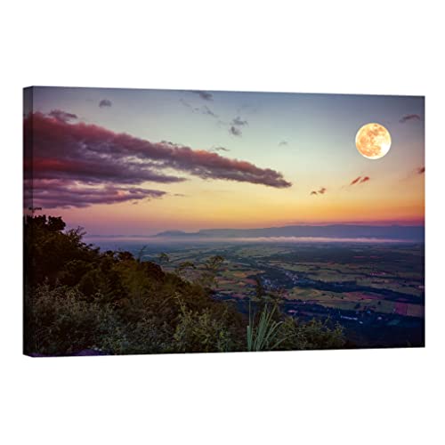 Toile canvas nature DCL071-2 lumineuse pour illuminer un couloir sombre sans électricité