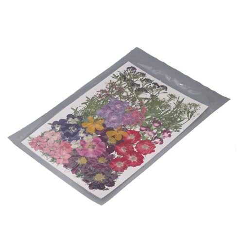 Flores prensadas secas naturales kit 110 piezas para manualidades miniatura 6