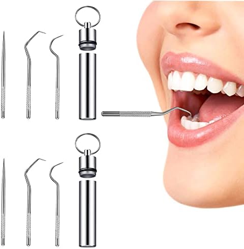 Stuzzicadenti Metallici Riutilizzabili - 2 Pezzi In Acciaio Inossidabile Con Portachiavi, Ideali Per Viaggi E Picnic