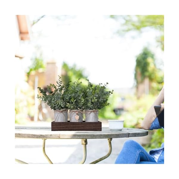   urban country home decor