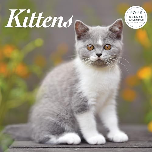 Kitten 2025 Deluxe Calendar, Various