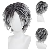 GNIMEGIL Mens Dreadlock Wig Cosplay Ombre Grey Curly Hairstyle Male Fake Dreads Hair Loc Short Braided Wig with Bangs Realistic Twist Rasta Wigs Funny Dress Up Costume Party