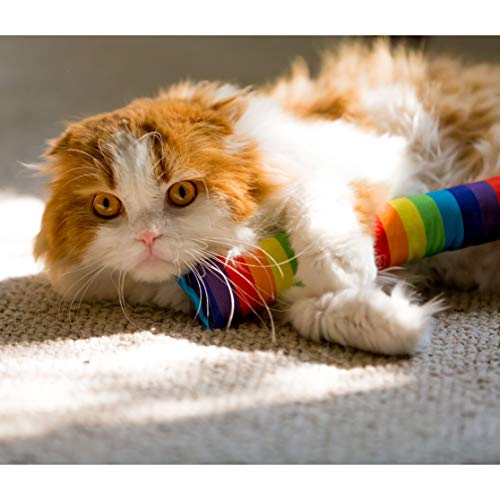 Youngever 3 Pack Cat Kicker Toys, Kitty Kick Stick, Cat Kick Toy, Interactive Cat Toys for Cat