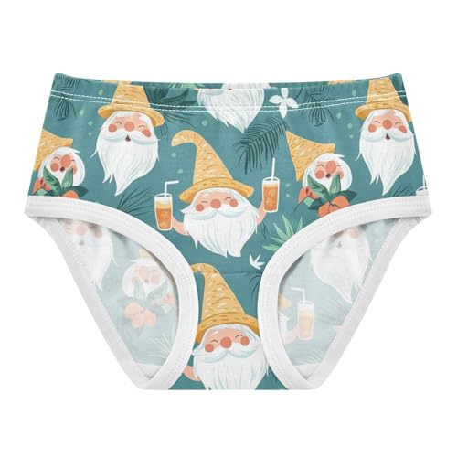 ZZKKO Summer Gnomes Leaves Girls Underwear Toddler Panties for Girls Comfort Brief Size 2T-8Y