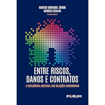 Capa do livro Entre riscos, danos e contratos: a inteligência artificial nas relações patrimoniais