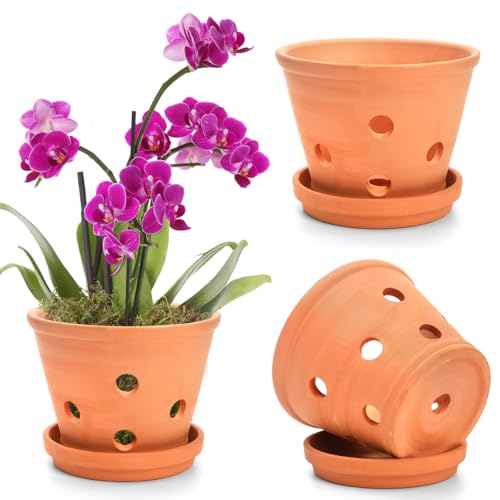 Jucoan 3 Pack 6 Inch Terracotta Orchid Pots with Holes and Saucers, Small Clay Flower Pots Terra Cotta Orchid Planter Pot for Repotting
